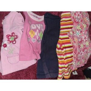 Baby Girls 12 month bundle
